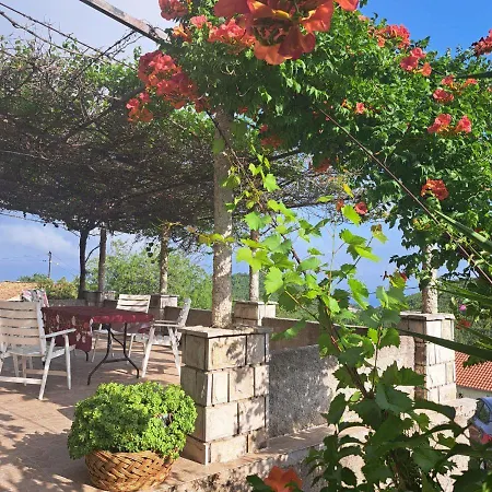 House Bore * Babino Polje