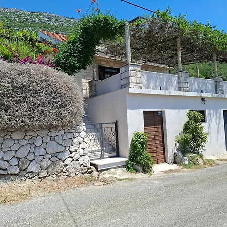 House Bore * Babino Polje