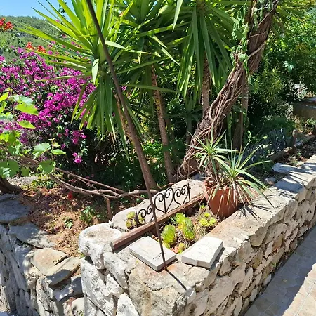 Vakantiehuis House Bore *