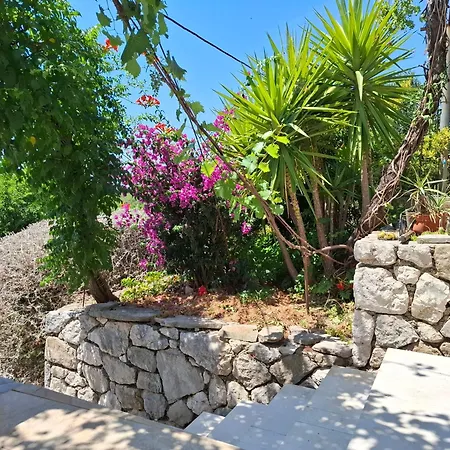 House Bore Vakantiehuis Babino Polje